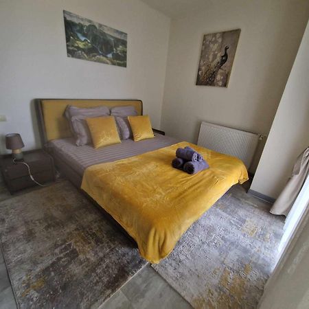 Avram Iancu Apartment 布拉索夫 外观 照片